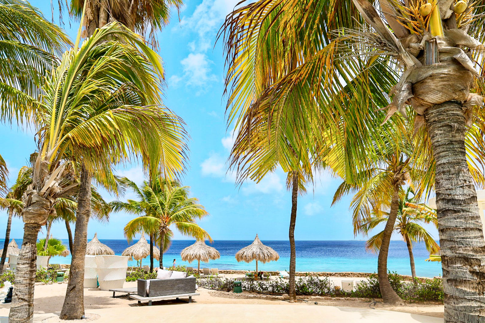 Plaza Beach & Dive Resort Bonaire - Lavidatravel.nl