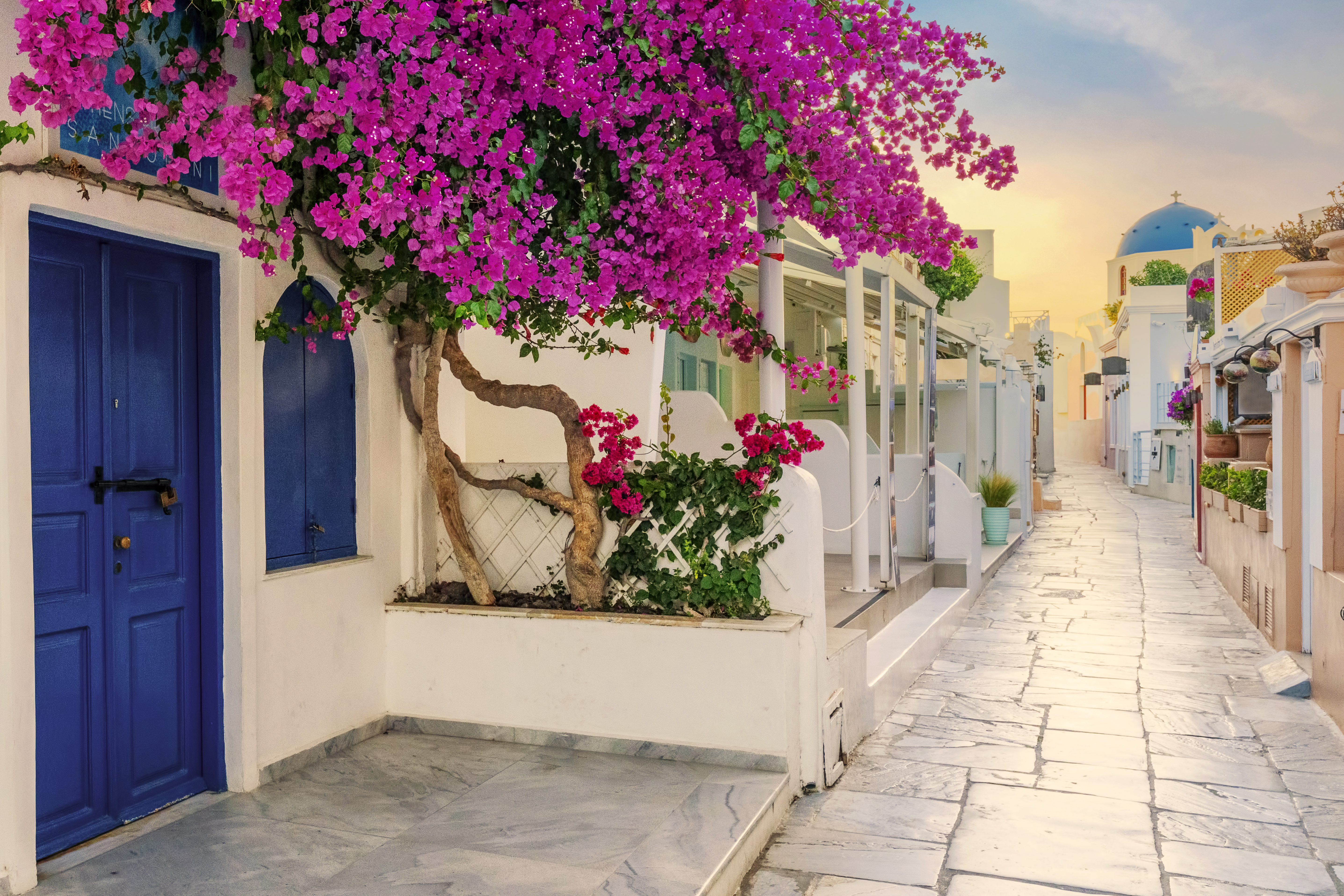 Straatje met witte huizen en bloemen in Kreta