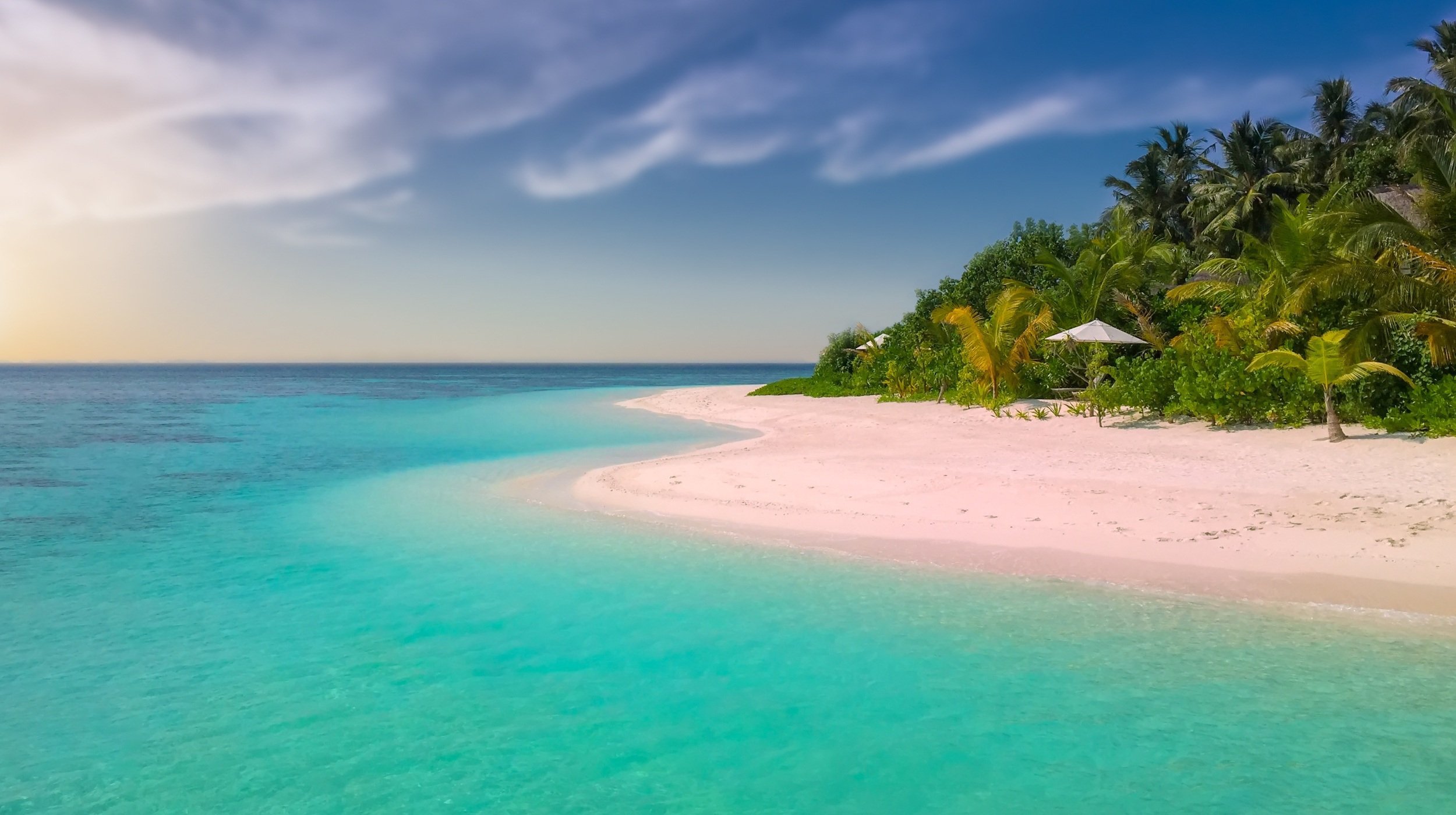 Wit tropisch strand met palmbomen